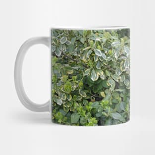 Emerald Gaiety, Gardener, Outdoor Explorer, Foliage, Shrub and Bush Leaves Mug